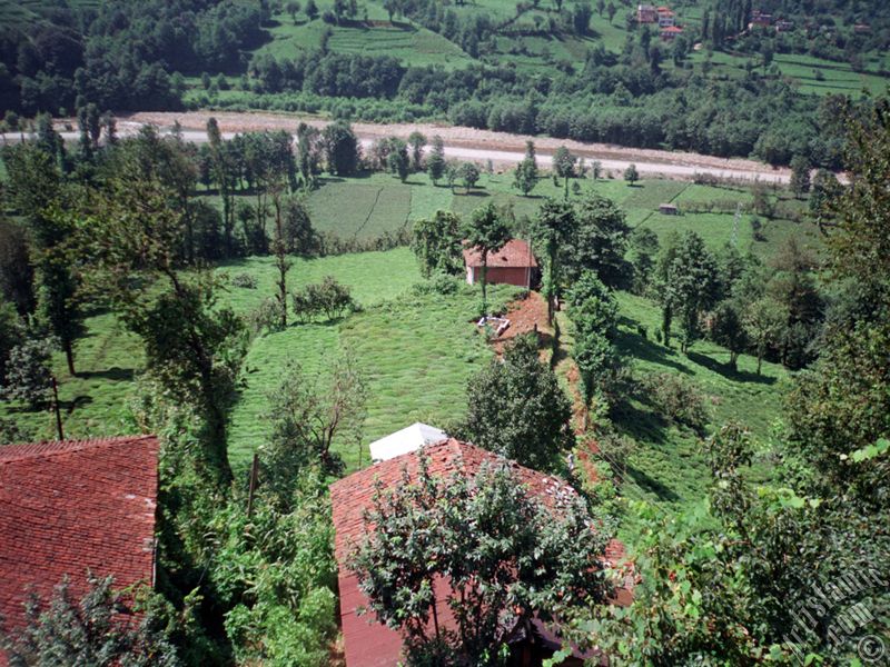 Trabzon`a bal Of ilemizden bir ky manzaras.
