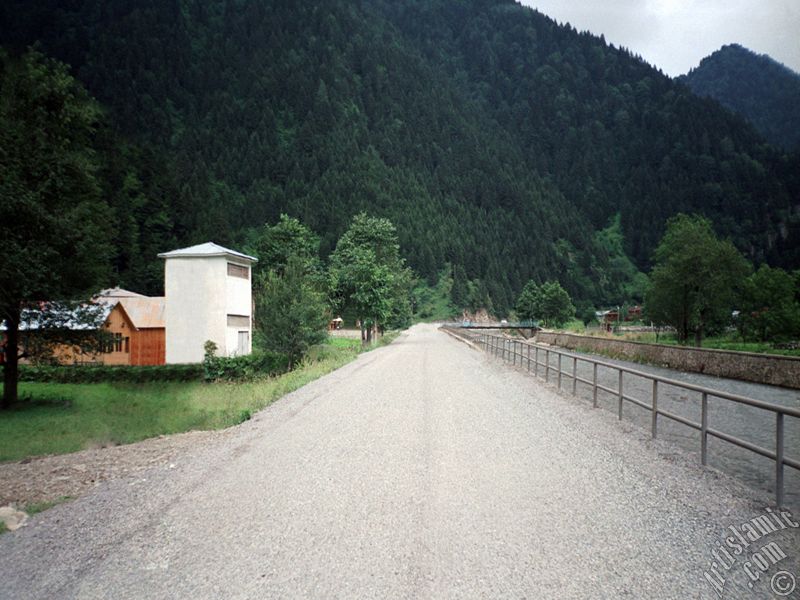 Trabzon Uzungl Yaylas`ndan bir manzara.
