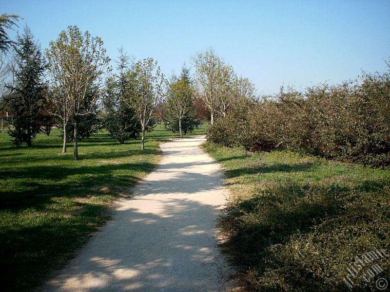 Bursa Botanik Parkndan bir manzara.
