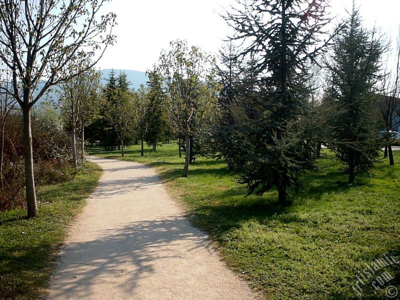 Bursa Botanik Parkndan bir manzara.
