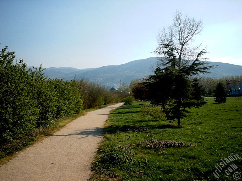 Bursa Botanik Parkndan bir manzara.
