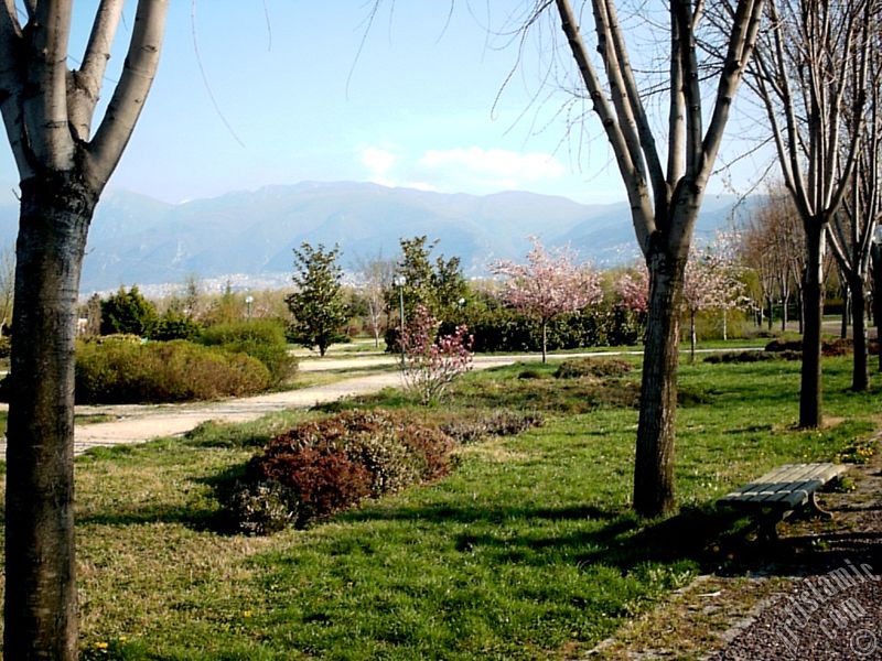 Bursa Botanik Parkndan bir manzara.
