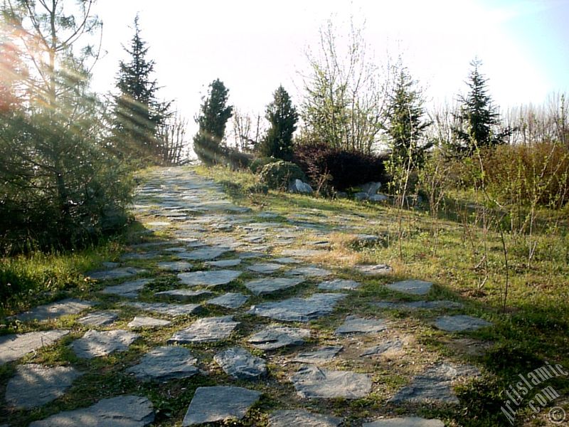 Bursa Botanik Parkndan bir manzara.
