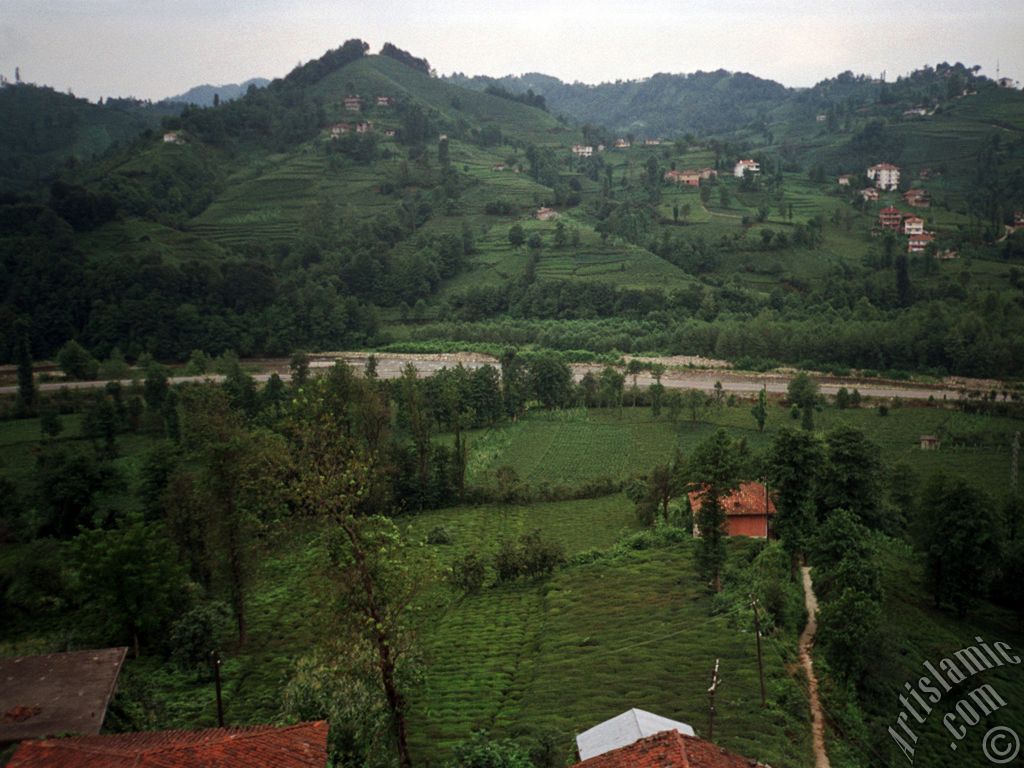 Trabzon`a bal Of ilemizden bir ky manzaras.
