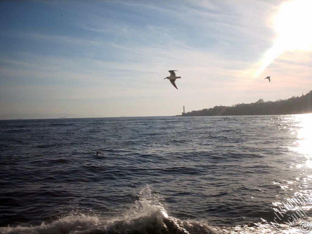 Sarayburnu aklar, deniz feneri ve martlar.
