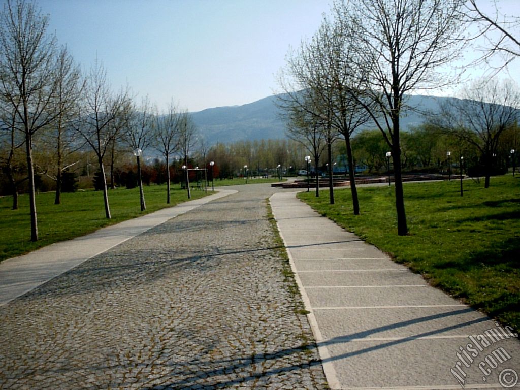 Bursa Botanik Parkndan bir manzara.
