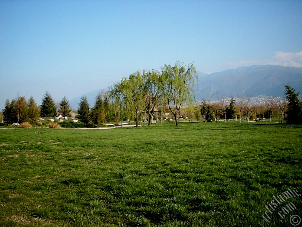 Bursa Botanik Parkndan bir manzara.
