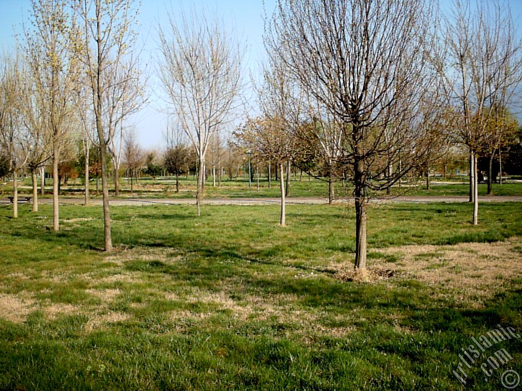 Bursa Botanik Parkndan bir manzara.
