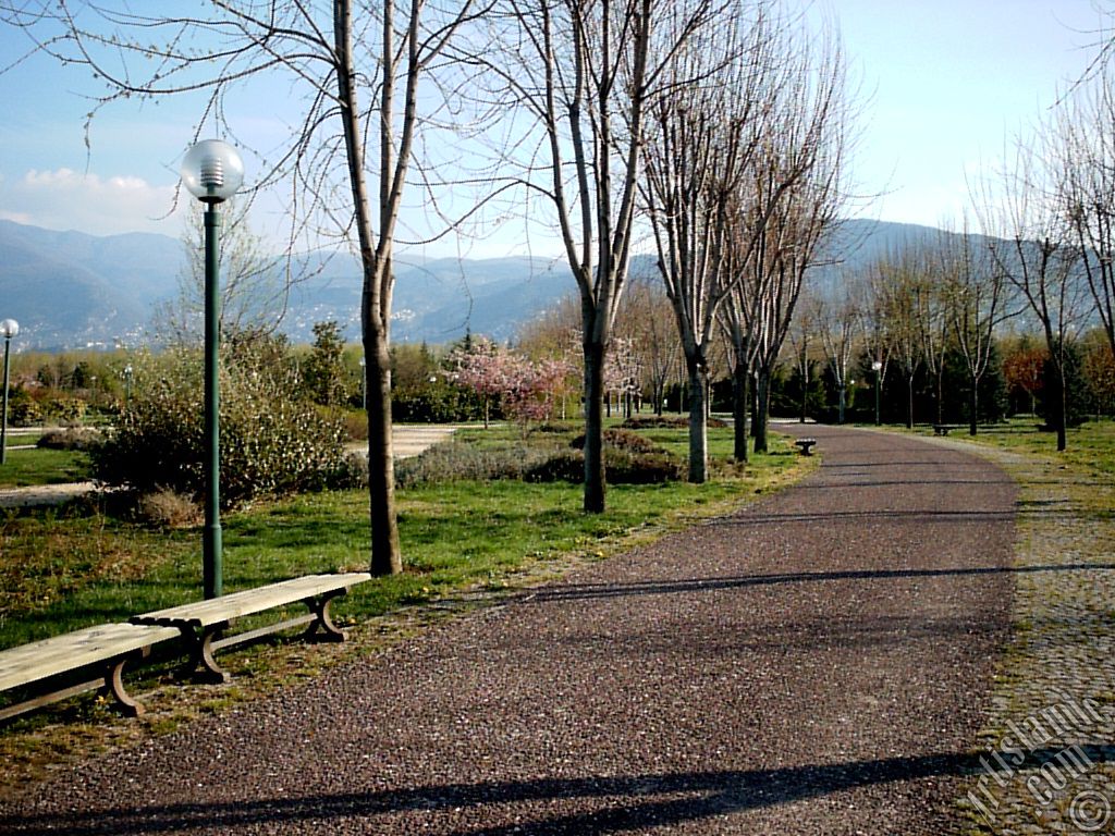 Bursa Botanik Parkndan bir manzara.
