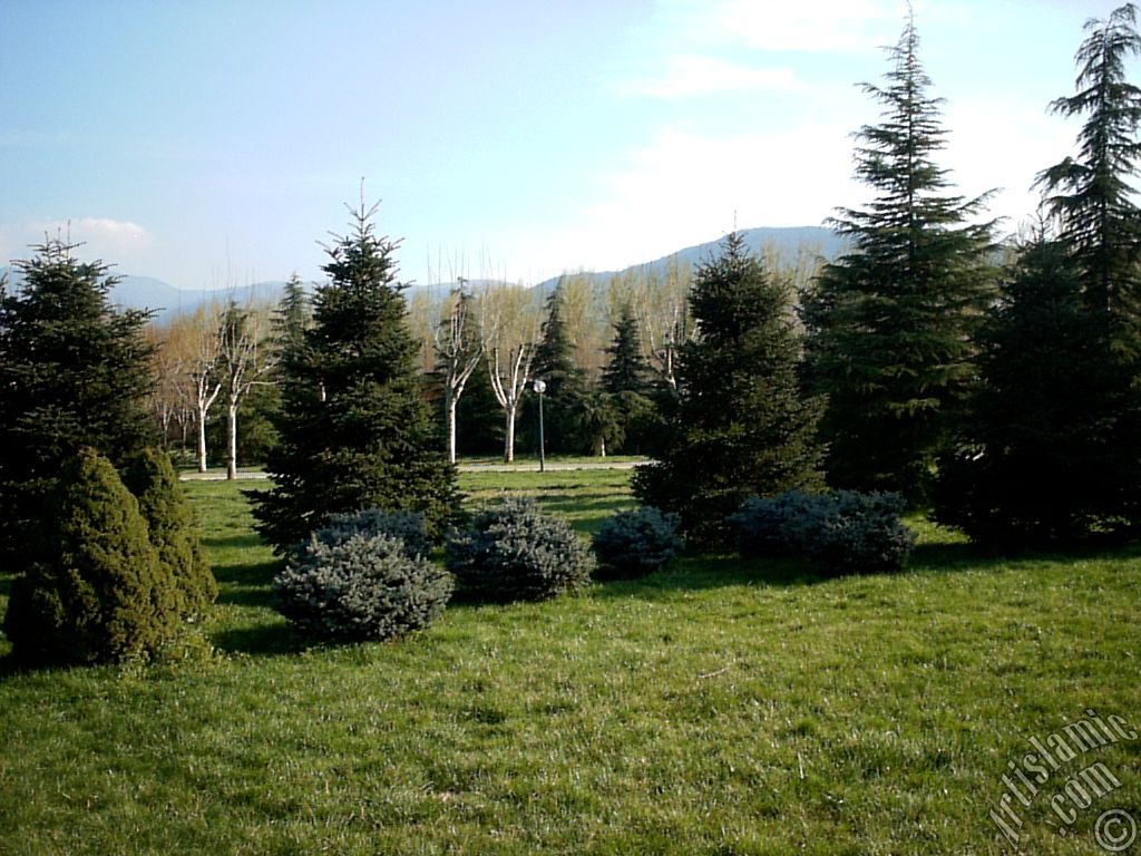 Bursa Botanik Parkndan bir manzara.
