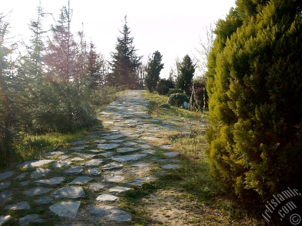 Bursa Botanik Parkndan bir manzara.
